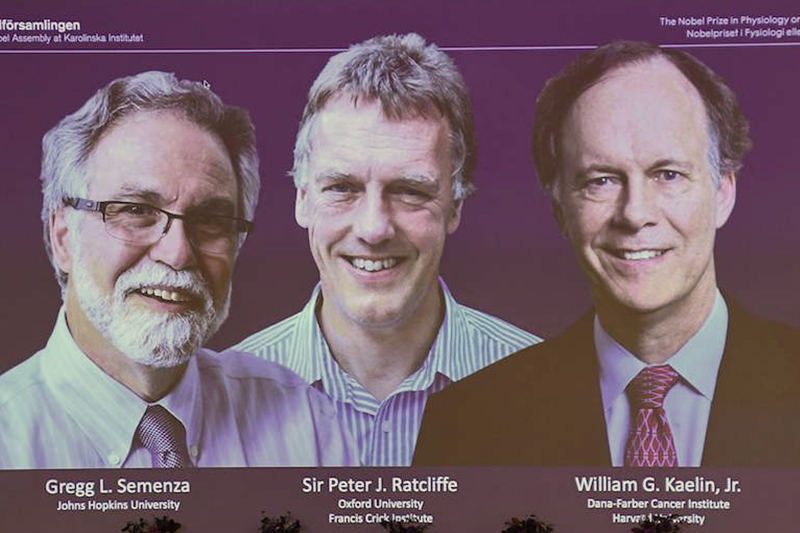 共同開発　京大　神戸大学